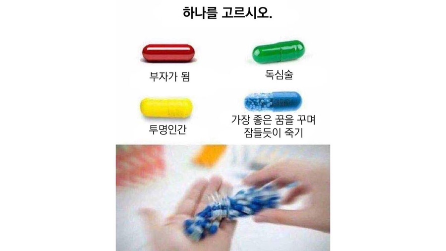 상상하랑 이미지