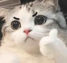 호박노래바 이미지