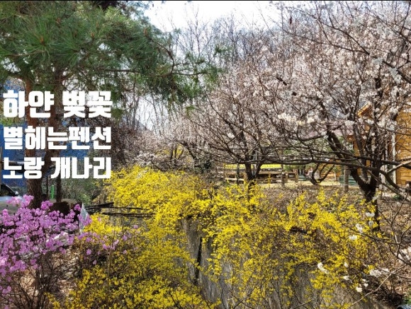 별빛정원펜션 이미지