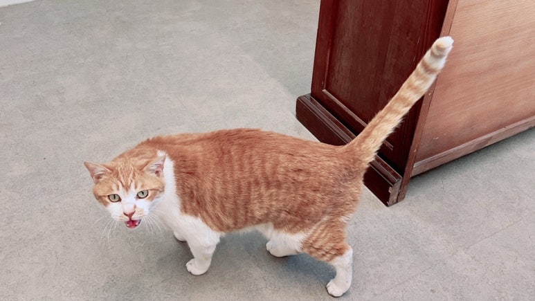 삼포공방 이미지