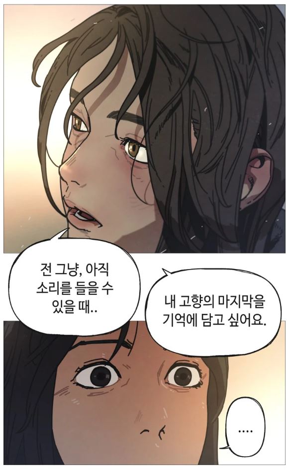 금란꽃 이미지