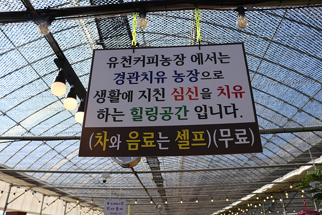 카페아라 이미지
