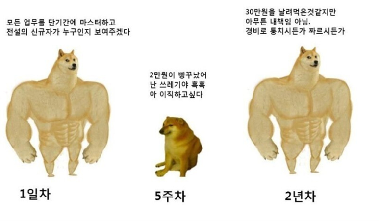 소중한식사 이미지