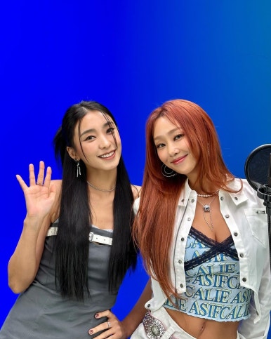 다나정보 이미지