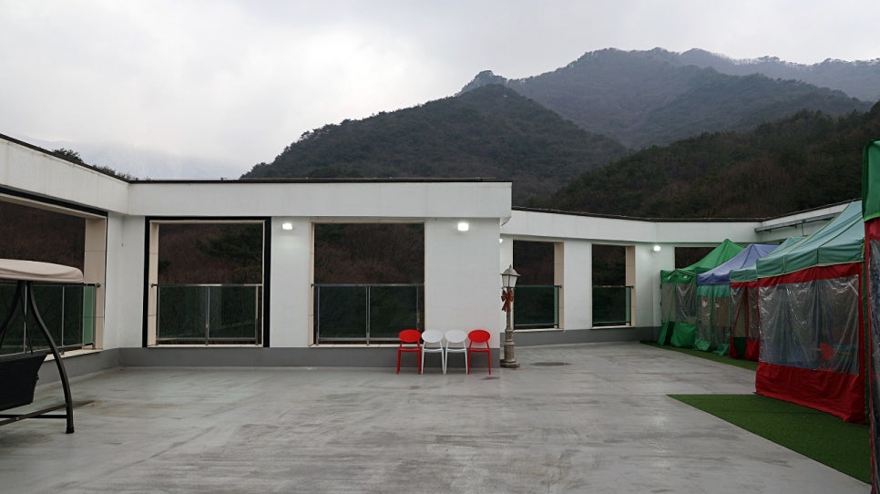 스테이포레스트 이미지