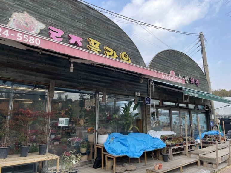 식물로사랑을노래하다 이미지