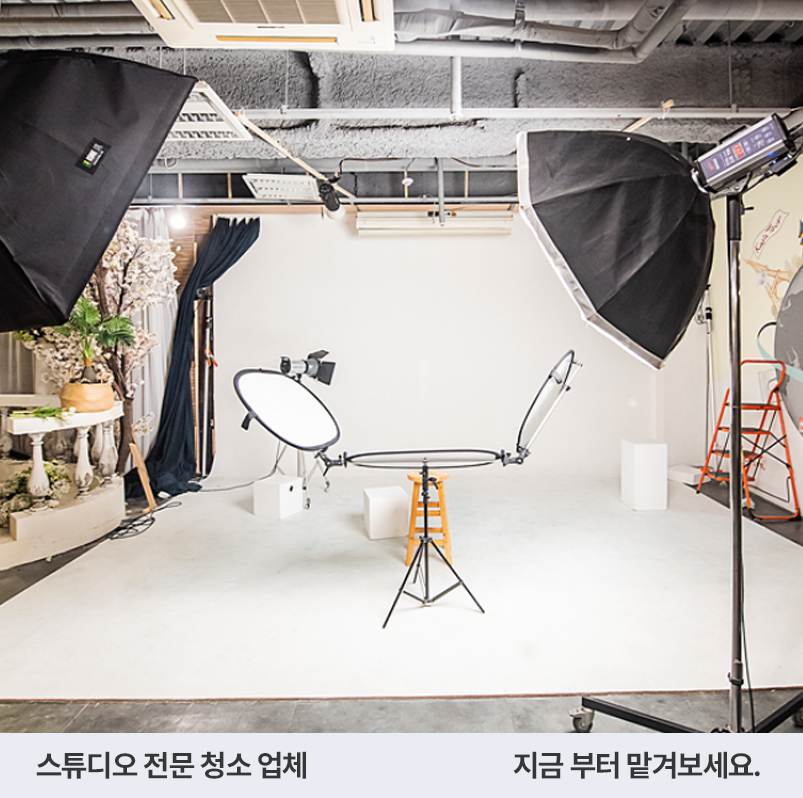 담다클린 이미지