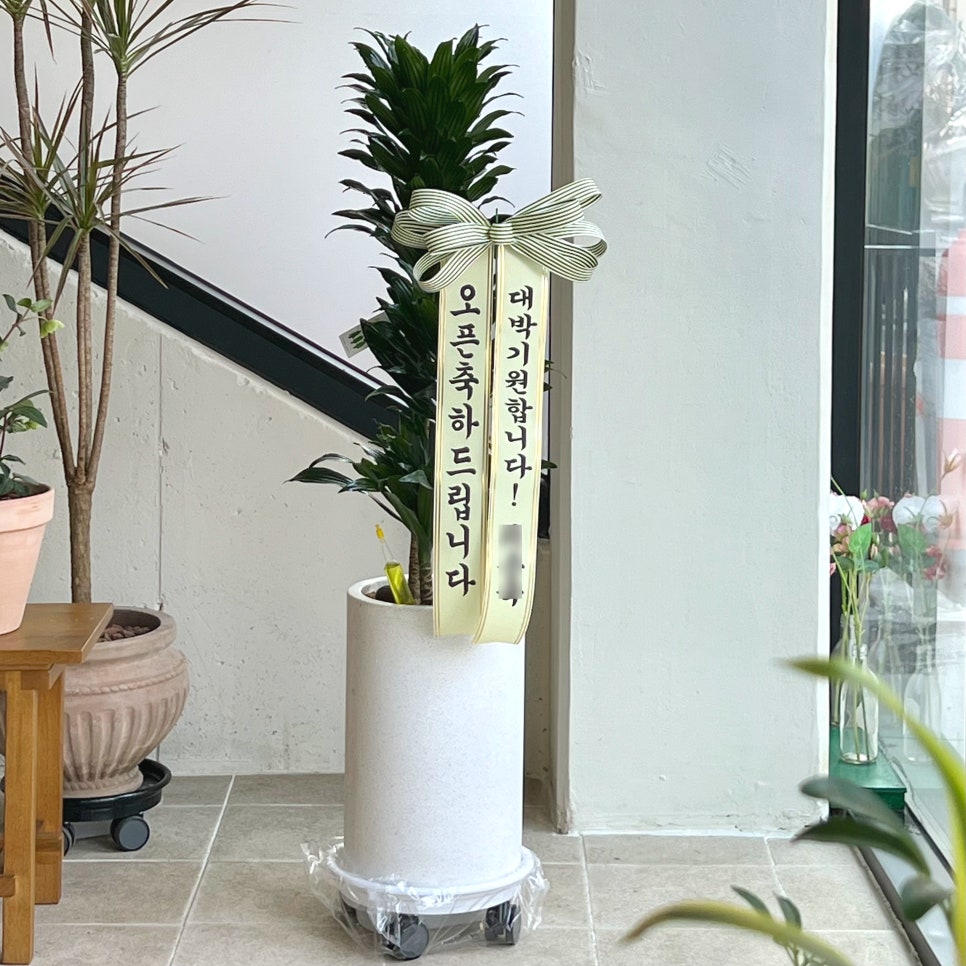 노안로336카페 이미지