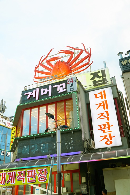 속초횟집 이미지
