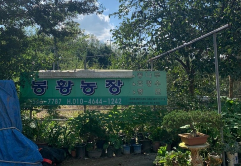 황산골 이미지