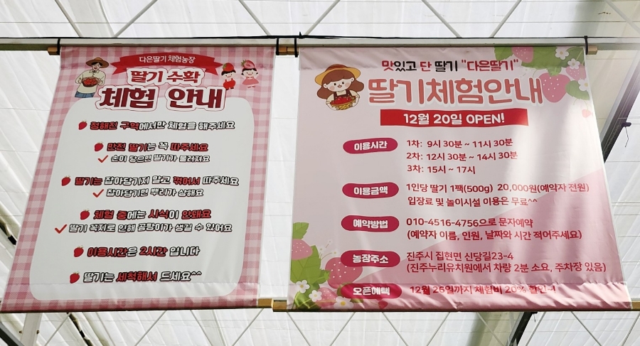다은딸기 이미지