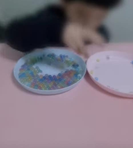 스펙트럼비즈 이미지