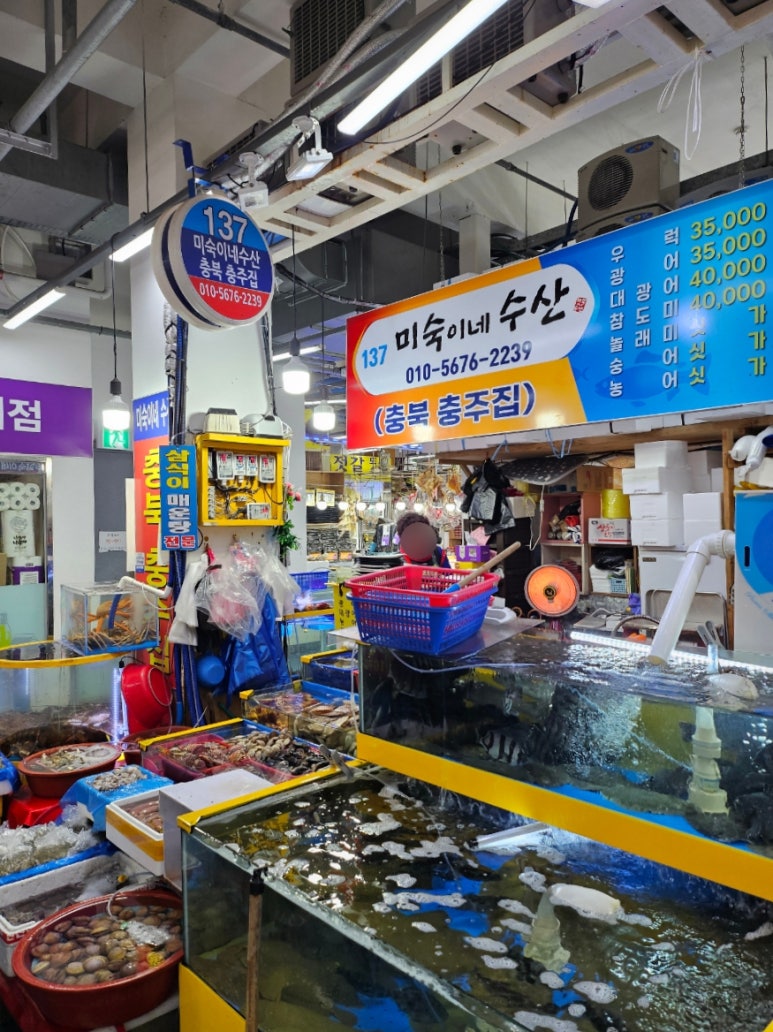 미숙이회수산 이미지
