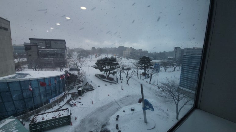 마왕족발제주아라점 이미지