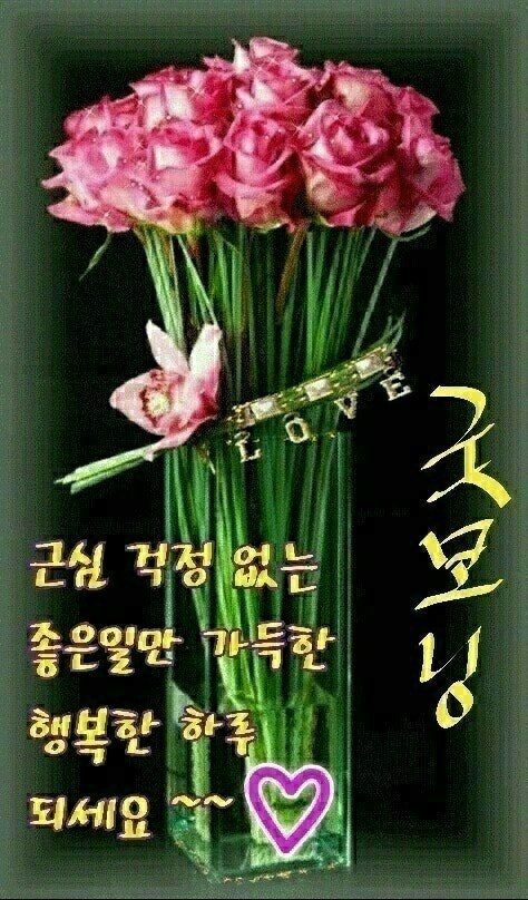 건강한하루 이미지