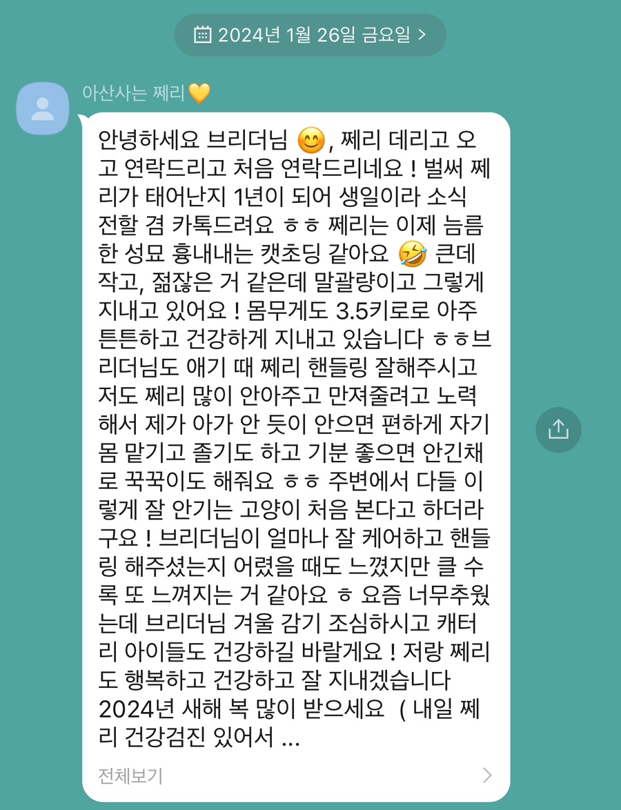 쩨리네 이미지