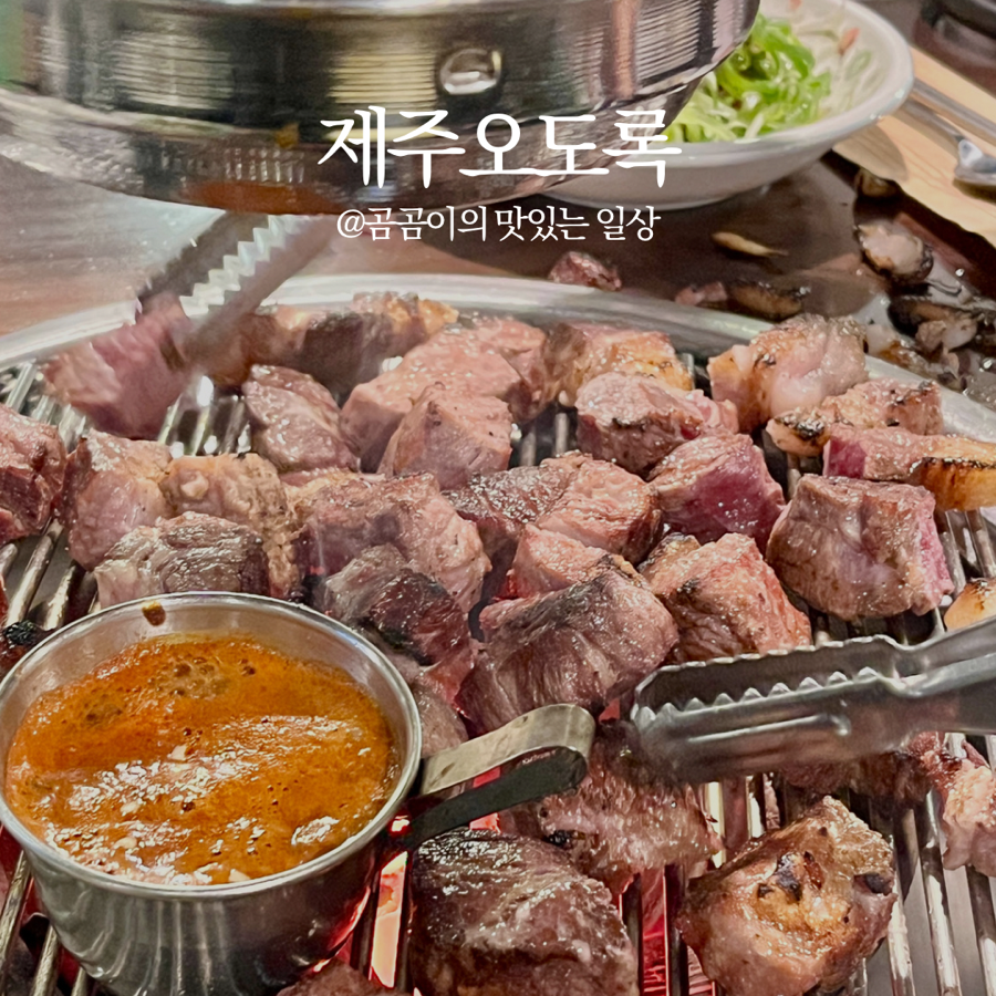 제주오도록 사진 3