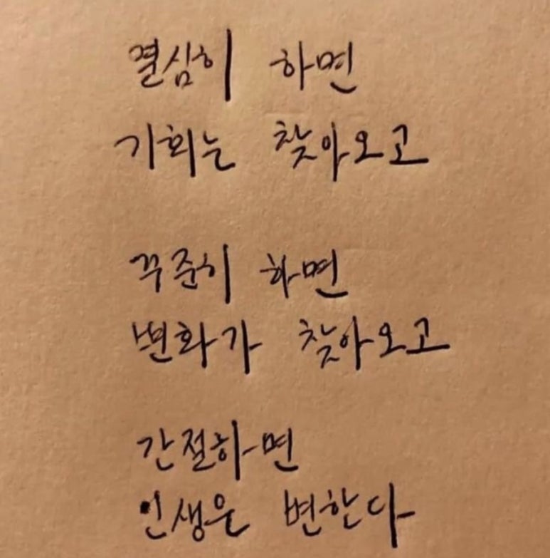 무궁화파이브 이미지