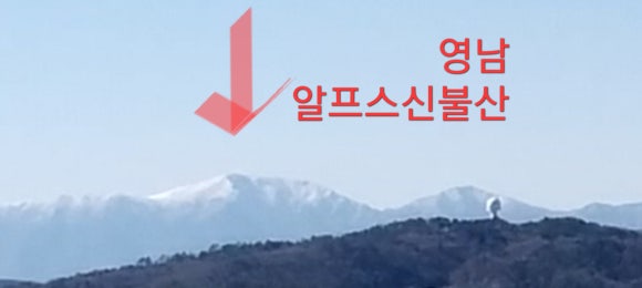 윤술 이미지
