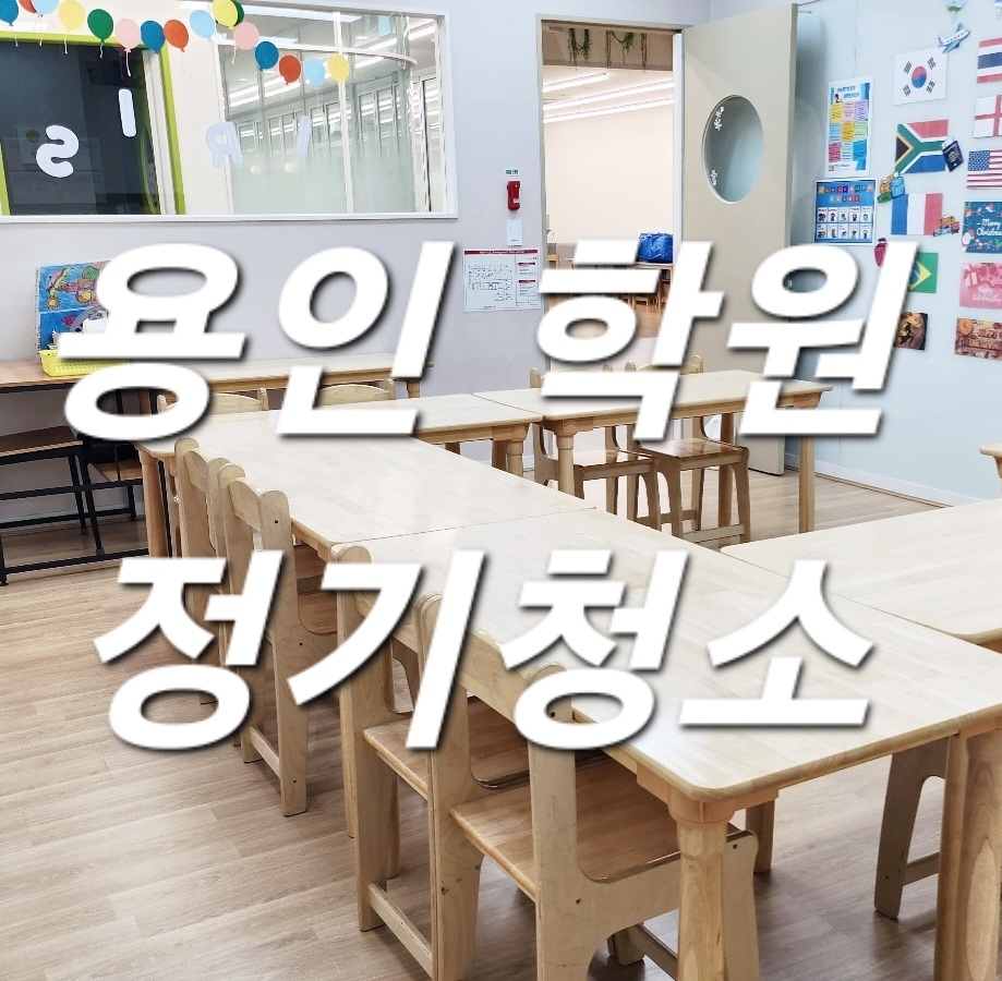 돌핀크린 이미지