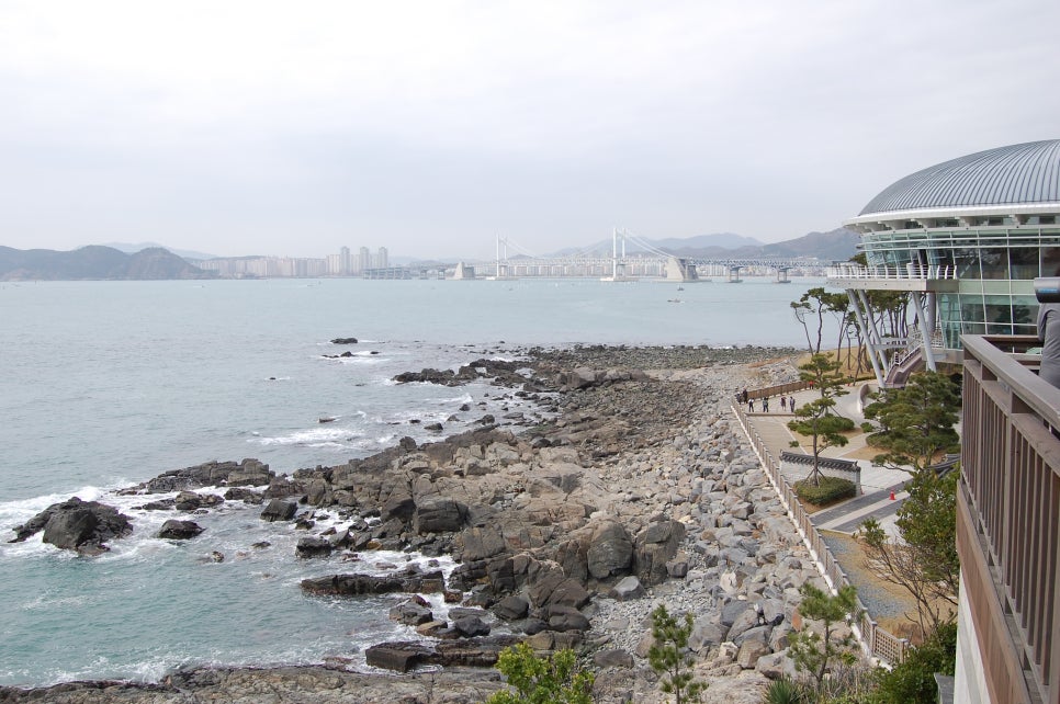 청명바다수산 이미지