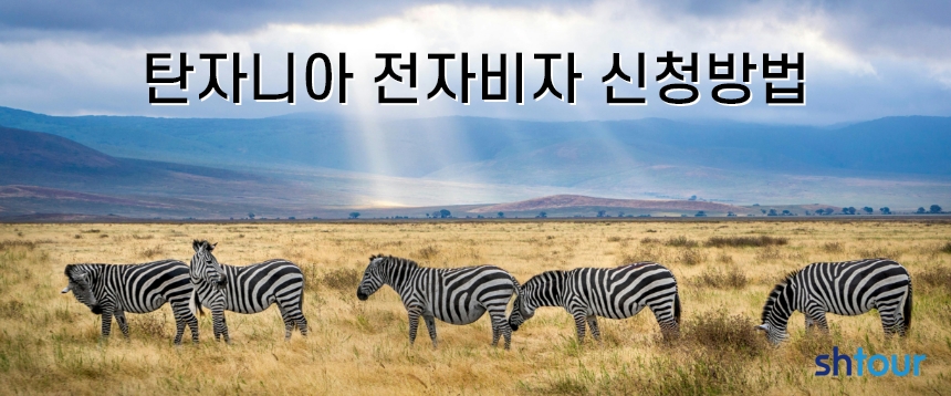 수현항공여행사 이미지