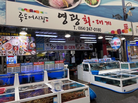 포항회센타 이미지
