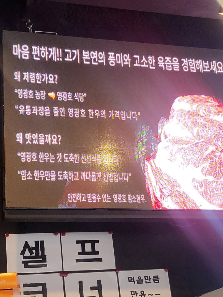 영광호한우농장 이미지