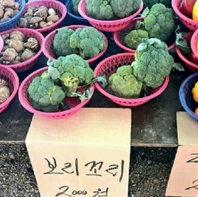 장바구니마트 이미지