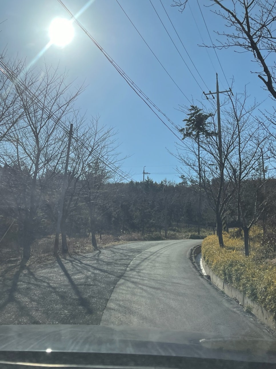 환희네꿀벌농원 이미지