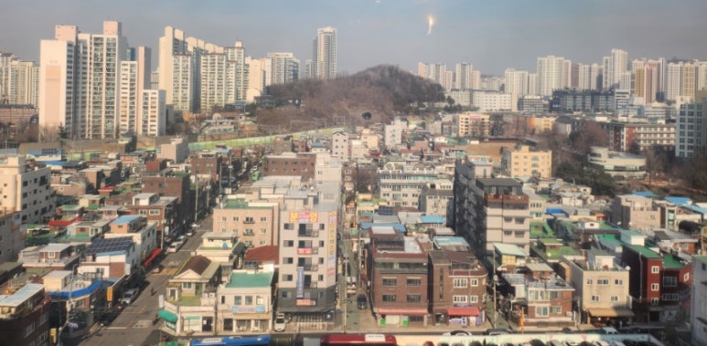 금란꽃 이미지