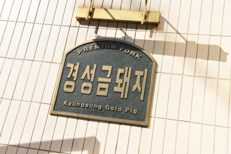 행복한금돼지 이미지
