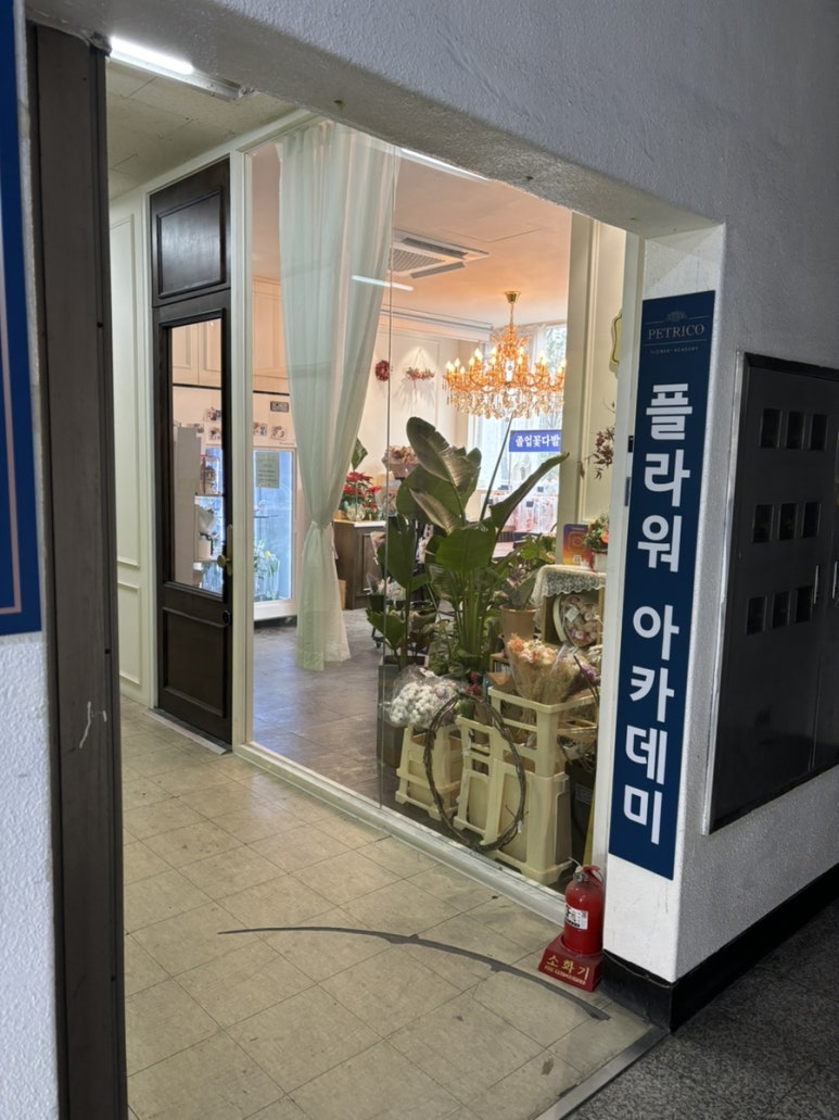 페트리코플라워 이미지