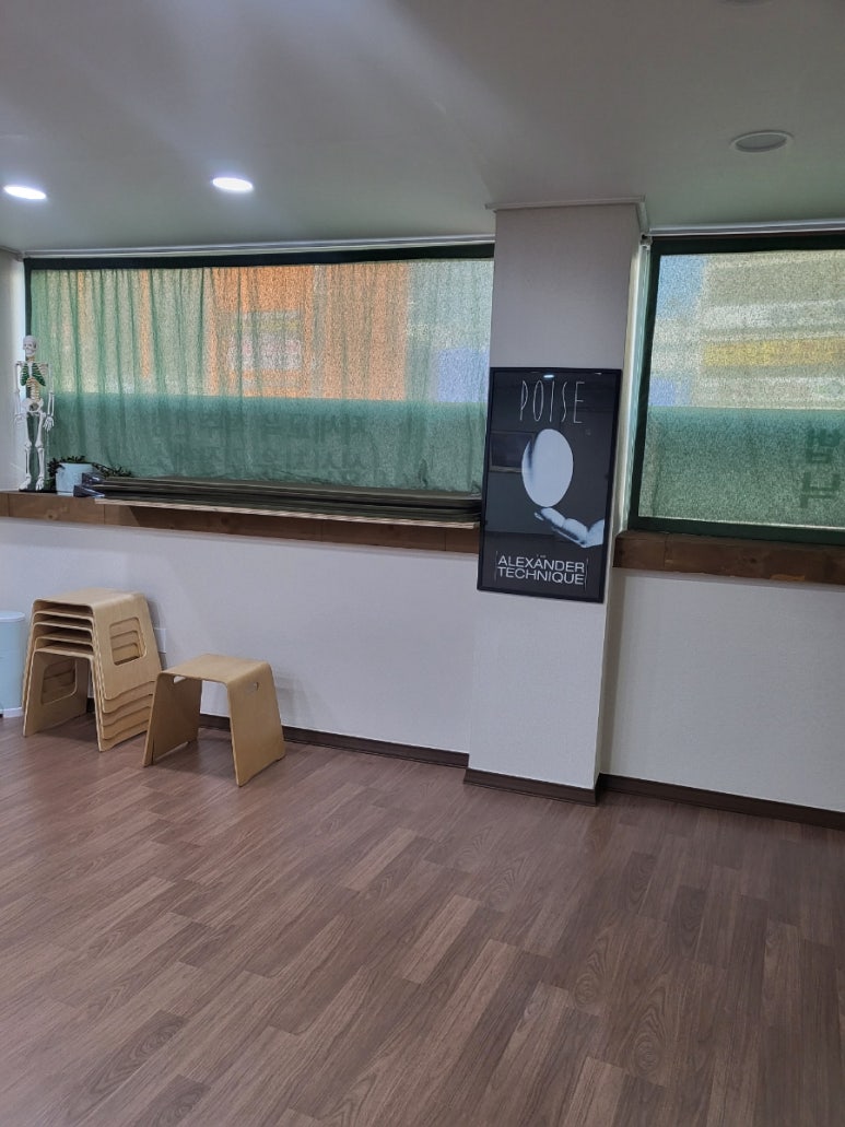 알렉산더테크닉포이즈 이미지
