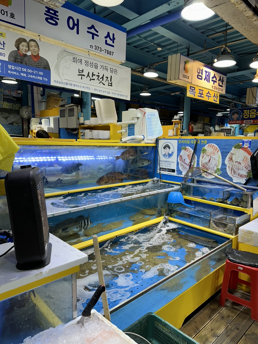 풍어수산 사진 6