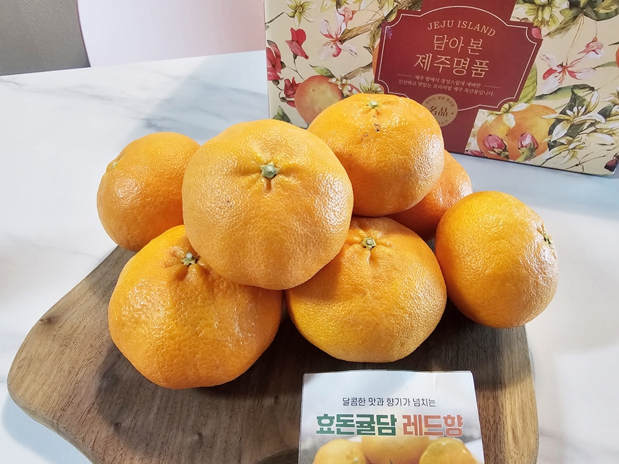 행복감귤농원 이미지