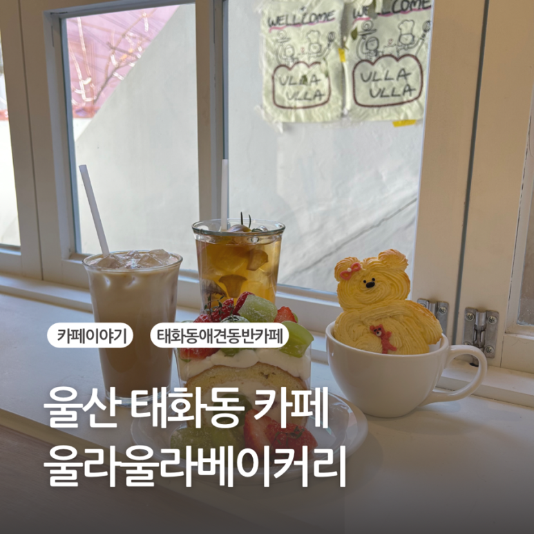 울라케이크 이미지
