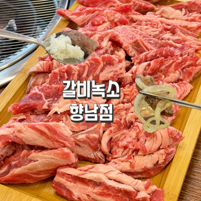갈비녹소 이미지