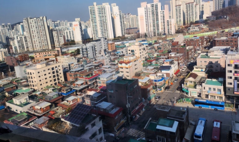 금란꽃 이미지