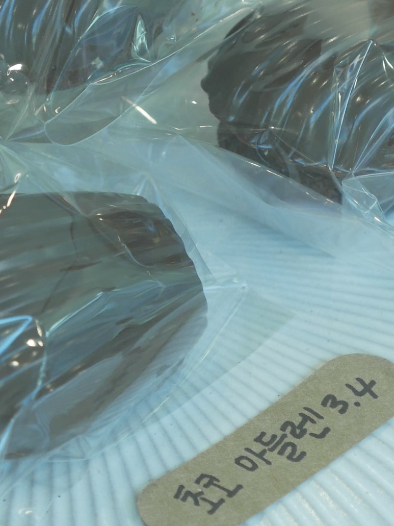 슈트쥬레브 이미지