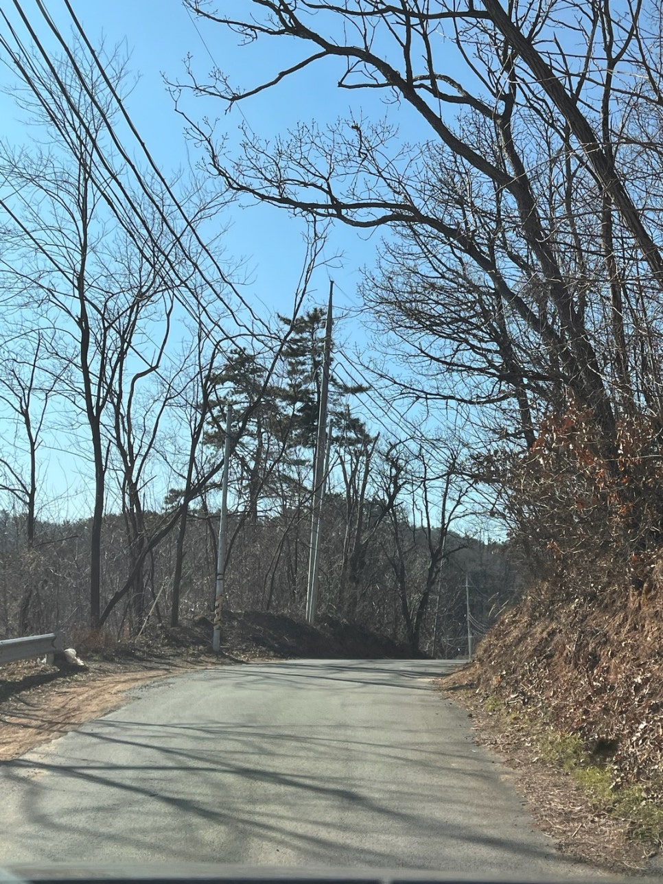 환희네꿀벌농원 이미지