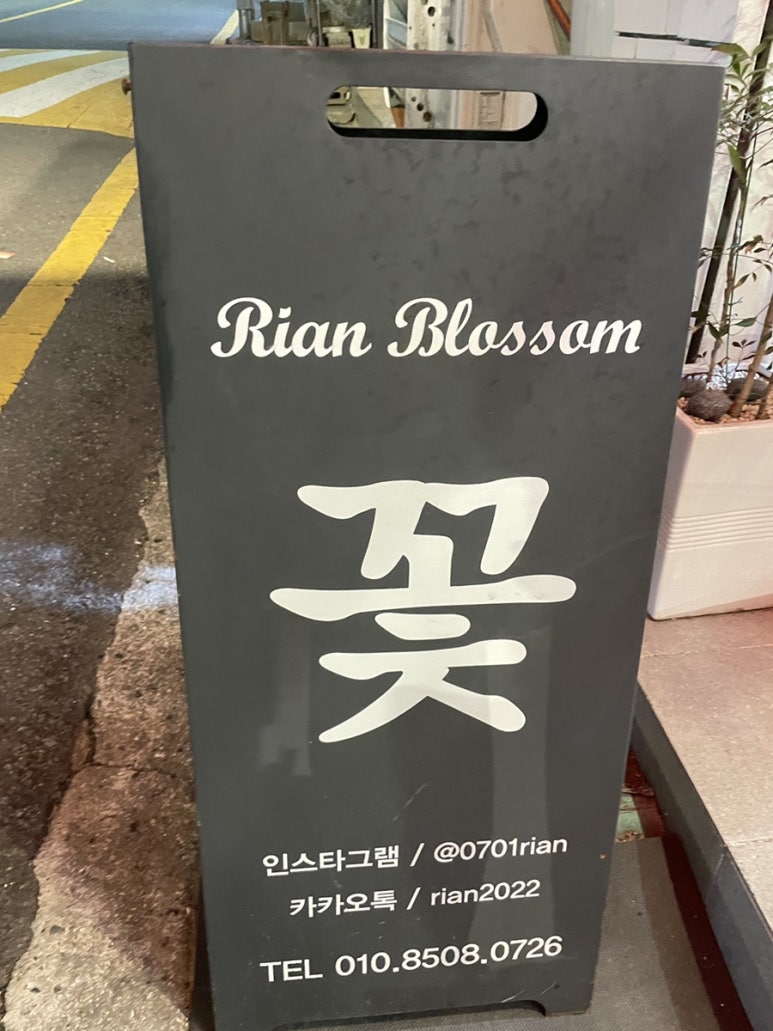 리안블라썸 이미지
