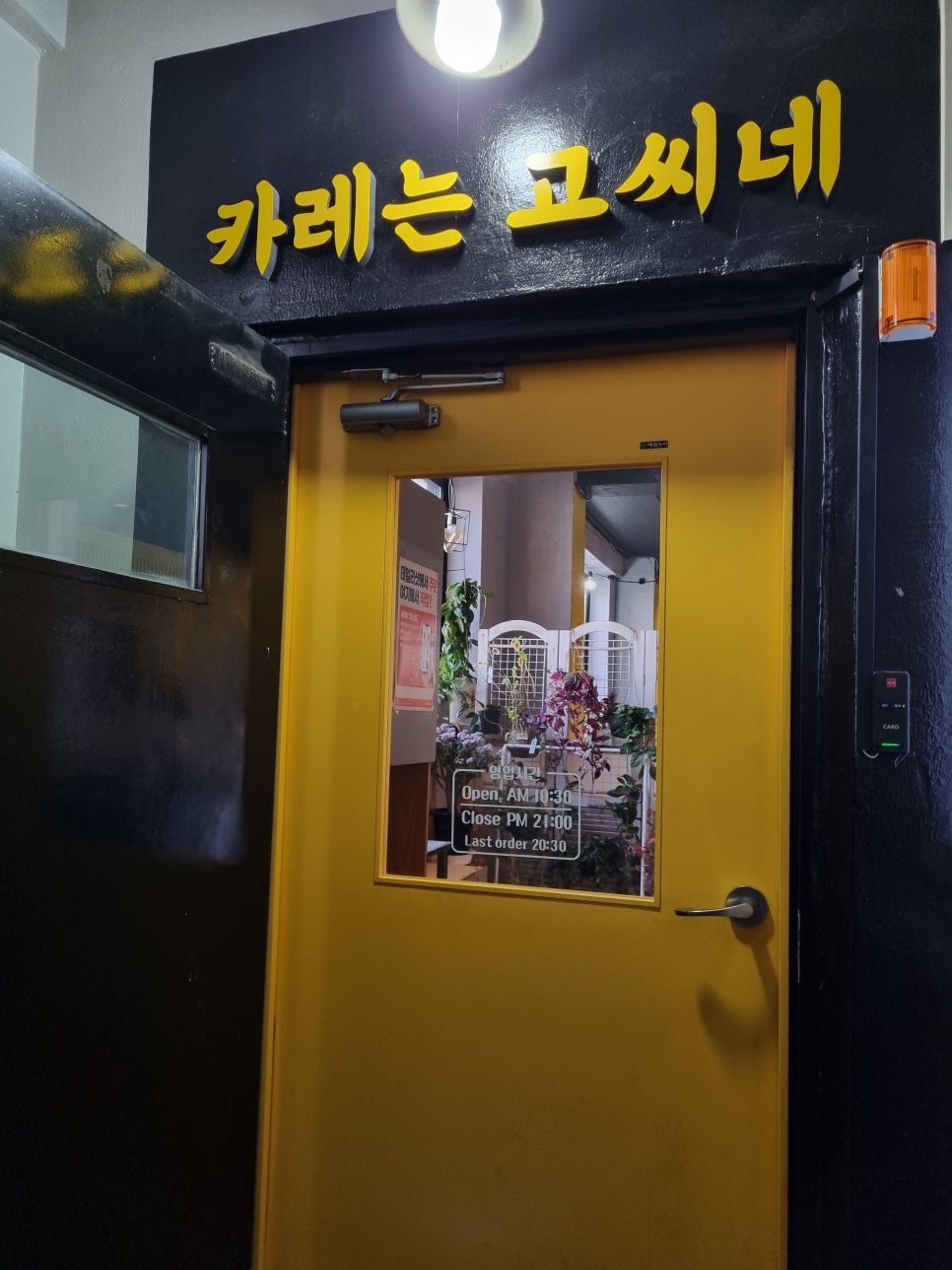 고씨네카레수원성대점 이미지