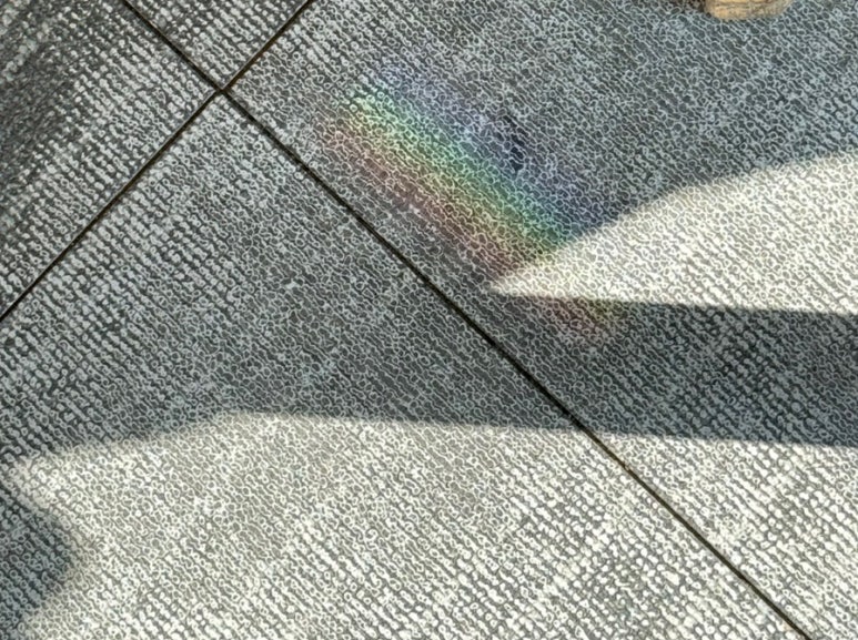 함지박손칼국수 이미지