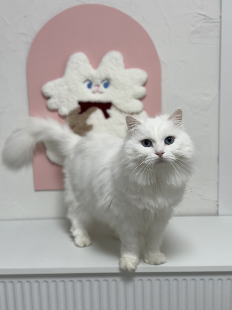 묘연공방 이미지