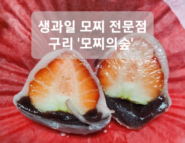 모찌의숲 이미지