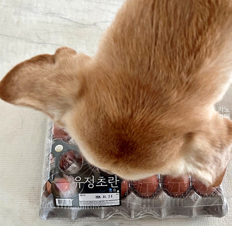 유정치킨 이미지