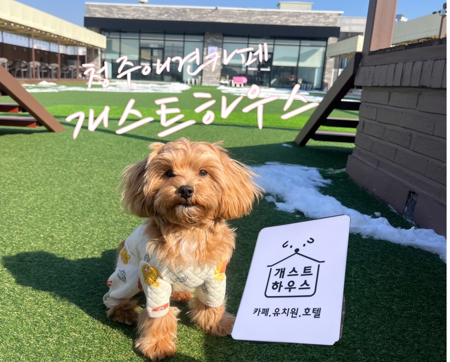 개스트하우스 청주점 이미지