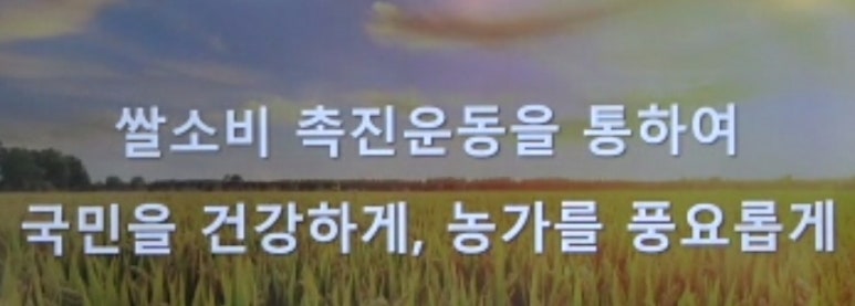 황미로올쿠 이미지