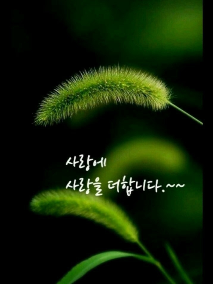 행복법무사 이미지